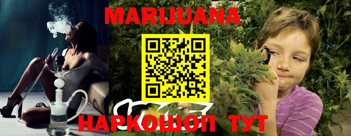 Бошки Шишки семена Борисоглебск